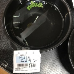 各種めだかちゃんの画像