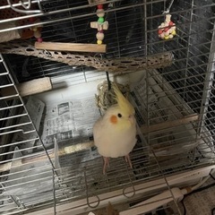 友達募集(*˘︶˘*).｡.:*♡