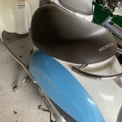 原付　ホンダ　スクーピー