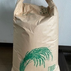 令和５年収穫　島根産　コシヒカリ30kg　新米