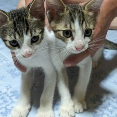 ありがとうございました♪