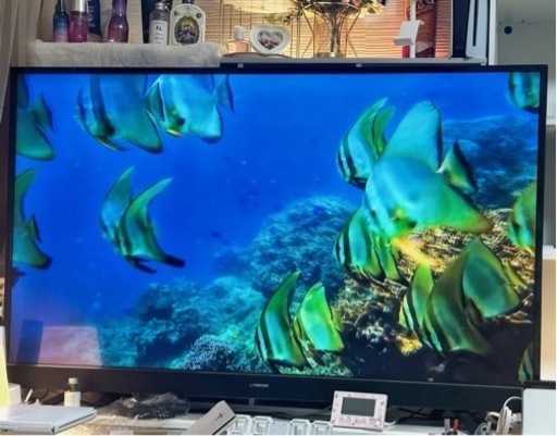 テレビ　55インチ　MAXZEN JU55SK03
