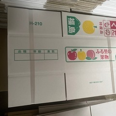 【在庫処分】共通箱各種1000枚ていど