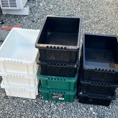 NV13 メダカ飼育容器 メダカ