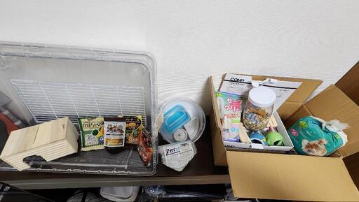 【総額15000円以上】ハムスター飼育セット