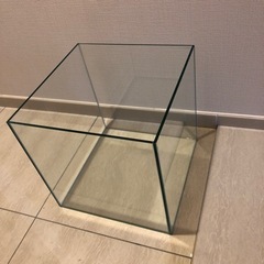 ガラスの水槽
