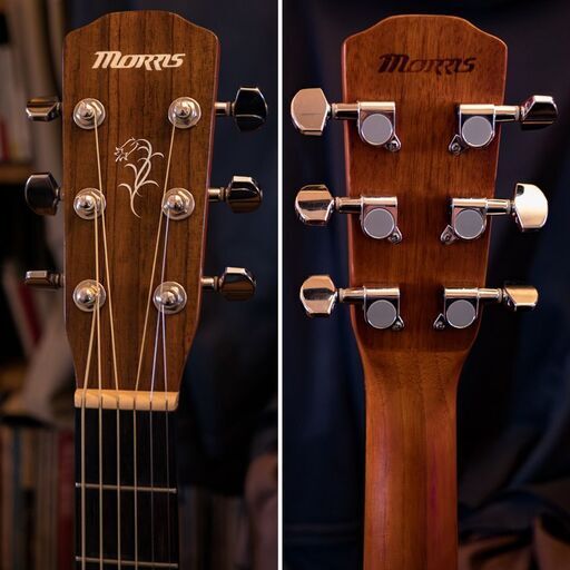 MORRIS F-12Ⅱ 2007年 単板トップ美品