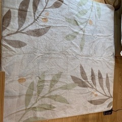 ホットカーペットの画像