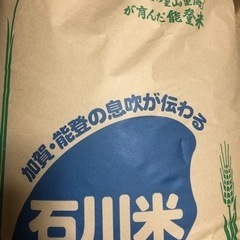 新米コシヒカリ令和5年