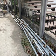 (お取引き中です)たんかん　単管の画像