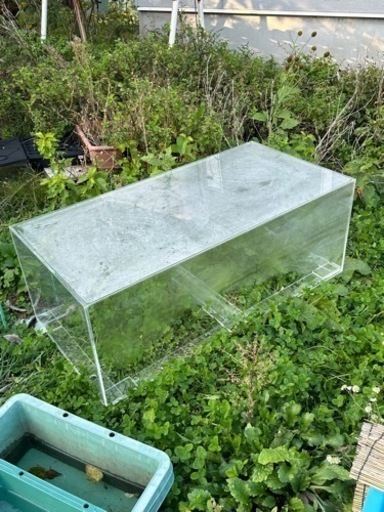 お早目に！　120センチ　アクリル水槽