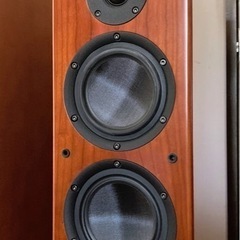 DENON SC-T55SG トールボーイスピーカー 訳ありの画像
