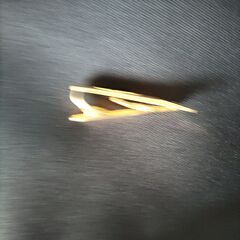 ネクタイピン　Fの画像