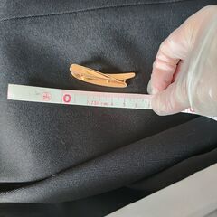 ネクタイピン　Fの画像
