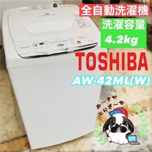 東芝 4.2kg 洗濯機 AW-42ML 2012年製 J103-11