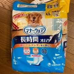 ペット用オムツＬＬサイズ　犬マナーウェア