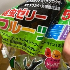 カブト虫の餌(ゼリー)、土