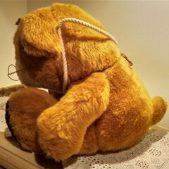 くまさんと遊ぼうの画像