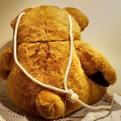 くまさんと遊ぼうの画像