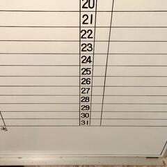【急募】ホワイトボード 月 行事 予定表 オフィスに！の画像