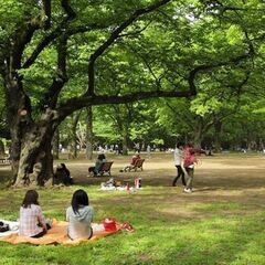 公園であそぼ！