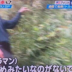 40型デジタルハイビジョンテレビ　の画像