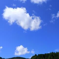 子供自然法教室(日曜限定)(*^^*)(要予約制)の画像