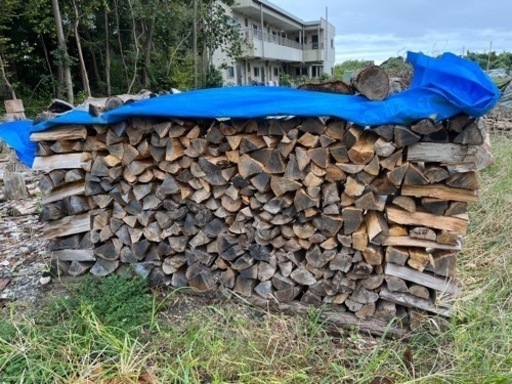 広葉樹　薪　かし、コナラ