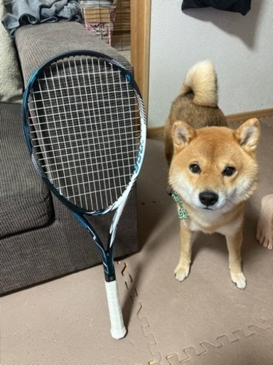 ミズノ　中学校用軟式テニス用ラケット‼️