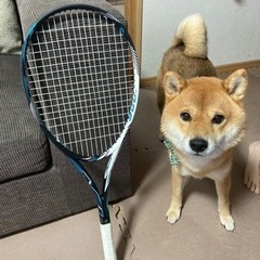 ミズノ　中学校用軟式テニス用ラケット‼️