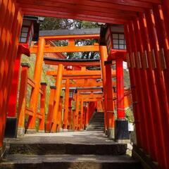 防府天満宮か津和野や　どこかに一緒に行ってくれる方いませんか？ - 友達