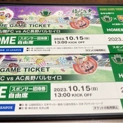 10/15 J3  松本山雅FCvsAC長野パルセイロ　ホーム自...