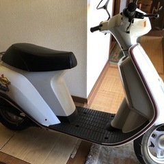 スズキジェンマクエスト50の画像