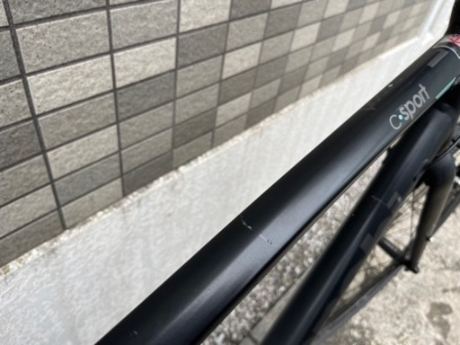 c-sport1 55サイズ