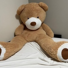 大型熊　　175cmの画像