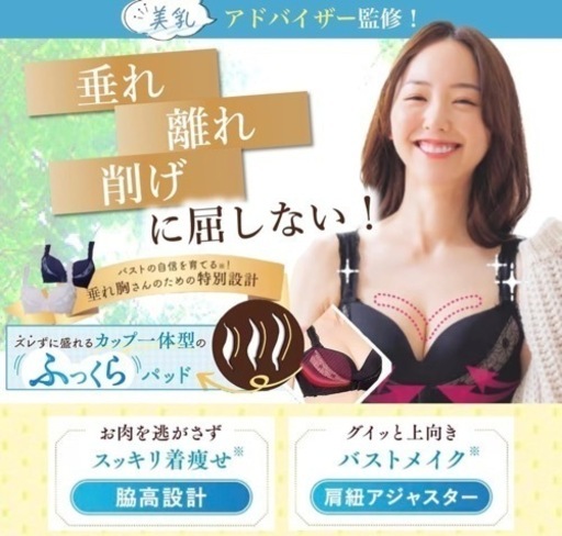 【新品未使用】[ROSA BLU] [美乳アドバイザー監修] カップ一体型 ノンワイヤー ナイトブラ 全4サイズ 大きいサイズ 10冠達成 ロザブルー ブラジャー 脇高 肩紐調節