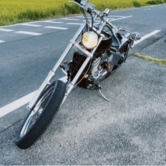 Steed400