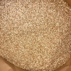 令和5年度 新米 コシヒカリ！！ 小米 30kg