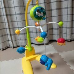 メリーの画像