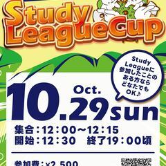 スタディーリーグカップ