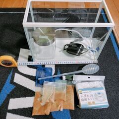 水槽（メダカ飼育セット）