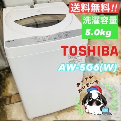 東芝 5.0kg 洗濯機 AW-5G6(W) 2018年製/YMJ103-09