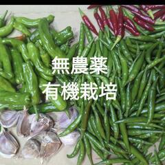 オーガニック野菜