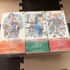DVD 十二国記 全巻セット 限定BOX付き 全19巻の画像