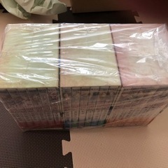 DVD 十二国記 全巻セット 限定BOX付き 全19巻の画像