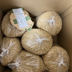 玄米あげます 
