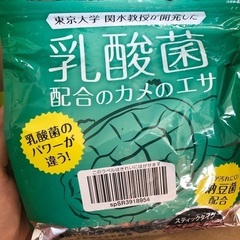 亀の餌