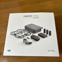 Mavic mini combo