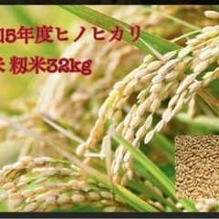 新米 いかがでしょうか