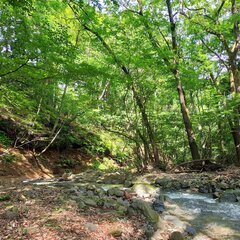 【都留市内学生歓迎】登録制・都留市アウトドア施設内及び出張現場での軽作業の画像